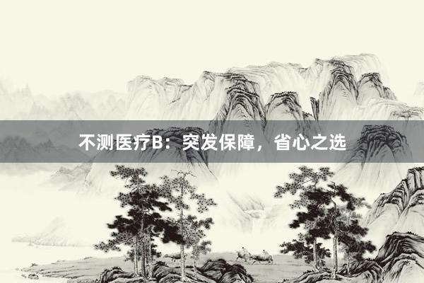 不测医疗B：突发保障，省心之选