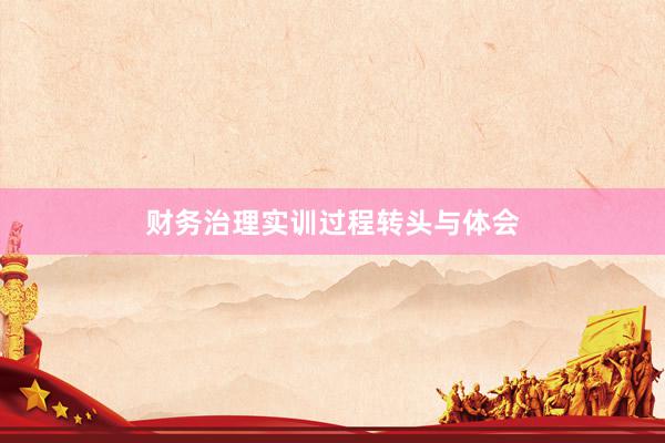 财务治理实训过程转头与体会