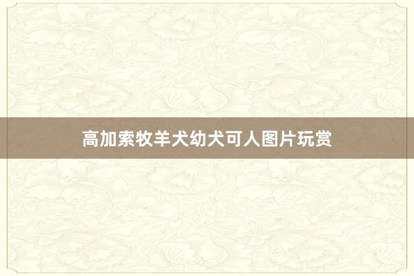 高加索牧羊犬幼犬可人图片玩赏